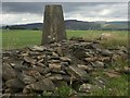 Trig point at Mynydd Drumau