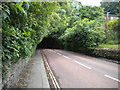 Western part of Margery Lane, Durham