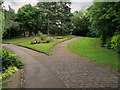 Diverging Paths in Whitefield Park