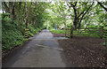 Cattle grid on Estell Lane