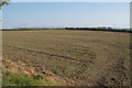SP7204 : Ploughed and planted field near Thame by Bill Boaden