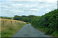 ST5500 : Lane towards Higher and Lower Wraxall from the A356 by Robin Webster