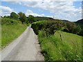 Country road at Burlingjobb