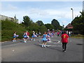 Romsey Carnival Procession (8)