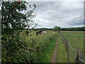 Footpath near Lily Lane Farm