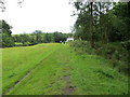 Field edge path near to Thorney Holme