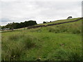 Field path approaching a wall stile