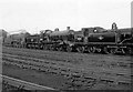 Locomotive line-up at Eastleigh