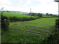 Gate into field