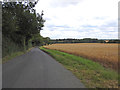 Barley growing beside Reading