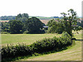 Fields at Trenance Farm