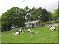 Pasture and woodland around Woodhead Cottage