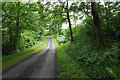 Lane above Setmurthy