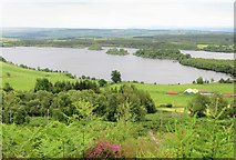 NH4957 : View towards Loch Ussie by Gordon Hatton