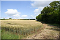 Wheat field to the east of a BOAT