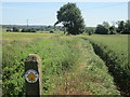 Public footpath leading to Epping Upland