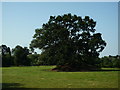 Tenbury Wells Castle and St. Mary