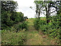 Llwybr Gelliwenen / Gelliwernen path