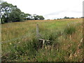 Llwybr Cwm-llethryd fawr / Cwm-llethryd-fawr path