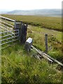 NY8590 : Boundary Stone on Great Moor by Russel Wills