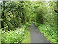 Disused railway track, Balcurvie