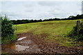 H3159 : Muddy entrance to field, Derrygany by Kenneth  Allen