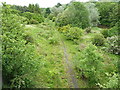 Disused railway, Durie Vale