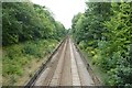 SE3054 : Railway cutting near Warwick Crescent by DS Pugh