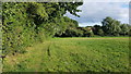 Footpath near Hollow Marsh