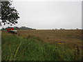 Harvested field at Graby