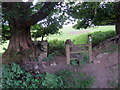 Llwybr Ystradowen / Ystradowen Path