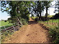 Llwybr Ffarm Castell Talyfan / Castell Talyfan Farm Path