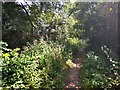 Footpath next to Yeading Brook