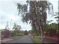 Brown bin day, Castle Drive, South Cave