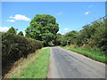 Footpaths cross Bishops Wood Lane, Lineholt