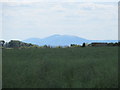 Looking towards the Malverns from Lineholt Common