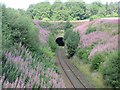 Kingswood Tunnel