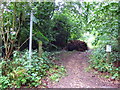 Restricted byway near Tudor Farm