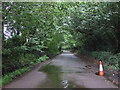 Minor road near Tudor Farm