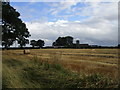 Harvested field and Fen Farm