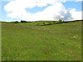 The footpath to Field Head