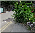 Teifi Valley Railway direction sign, Adpar, Ceredigion