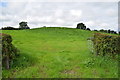 An open field, Lisconrea