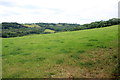 Fields Near Summerdown