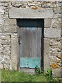 Field Head - door