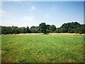 Field South of Hill Farm Road