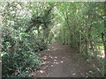 Footpath to Nottingham Road