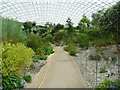 SN5218 : The path down to the pool in the Great Glasshouse, National Botanic Garden of Wales by Humphrey Bolton