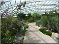 SN5218 : A path in the Great Glasshouse, National Botanic Garden of Wales by Humphrey Bolton