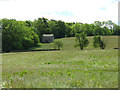 Farmland and woodland west of Muschamp House